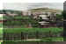 Russia03_CD14_01_web.jpg (115041 bytes)