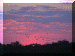 Botswana01_Delta1_Sunset_Birds_2995_Web.gif (168692 bytes)
