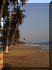 Ghana00_Brenu1_Beach_1309_Web.gif (203073 bytes)