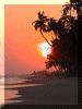 Ghana00_Brenu1_Sunset_1317_Web.gif (166024 bytes)