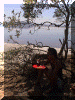 Kenya01_Nakuru2_Lunch_Jac_2350_Web.gif (231254 bytes)