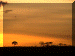 Kenya01_WThorns_Sunset_2357_Web.gif (158364 bytes)