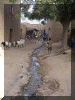 Mali00_Djenne_Street_Sewer_1048_Web.gif (259899 bytes)