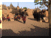 Mali00_Dogon2_Tireli_Dance_Antelope_1140_Web.gif (210829 bytes)