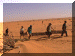 Mauritania00_SaharaDayThree_TruckBogged_Jac_861_Web.gif (198416 bytes)