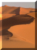 Morocco00_Dunes_543_Web.gif (209003 bytes)