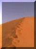 Morocco00_Dunes_Footprints_533_Web.gif (219225 bytes)