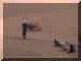 Namibia01_Swakop_Sand13_Ride_Paolo_3222_Web.gif (150000 bytes)