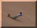 Namibia01_Swakop_Sand18_Ride_Jac_3228_Web.gif (203310 bytes)