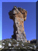 SouthAfrica01_Cederberg_Maltese07_Cross_3420_Web.gif (210010 bytes)