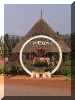 Uganda01_Equator_Lars_2121_Web.gif (206866 bytes)