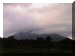 Uganda01_Gorilla03_Landscape_2130_Web.gif (180725 bytes)