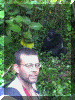 Uganda01_Gorilla23_Mark_Lars_2154_Web.gif (245496 bytes)