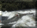 Uganda01_Rafting_Gunga2_InWater_Lars_2309_Web.gif (238006 bytes)