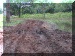 Zambia01_SLuangwa4_Exit16_Bog1_Road_2544_Web.gif (280793 bytes)