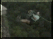 Zambia01_Abseil31_Swing_Paolo_Back_2706_Web.gif (223004 bytes)