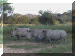 Zimbabwe01_Matabo38_Exit_Rhino_2837_Web.gif (221408 bytes)