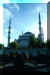 Turkey02_CD26_02_web.jpg (39227 bytes)