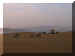 Peru01_Paracas_Camp_3938_Web.jpg (95957 bytes)